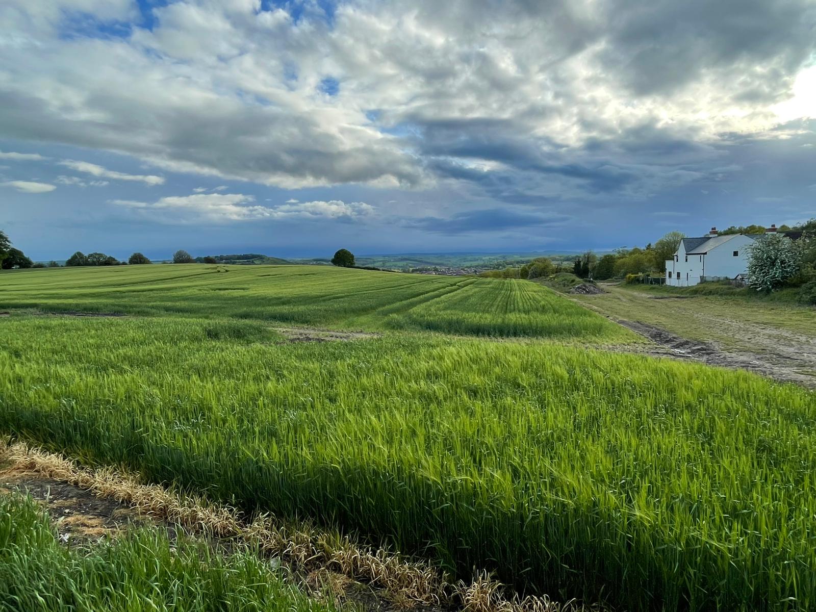 Green Belt land alongside an existing farmhouse