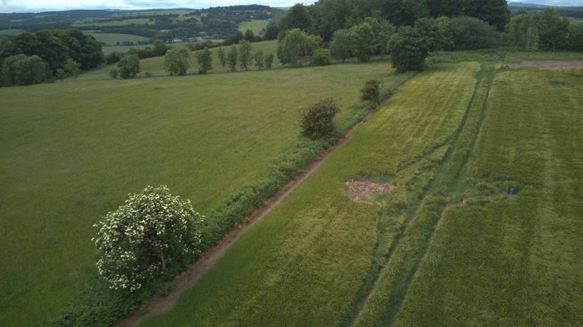 Aerial view along the hedgerow at the edge of the field, with open countryside and wooded hills beyond.